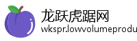 龙跃虎踞网